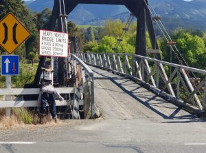Motueka valley section of the Great Taste Trail